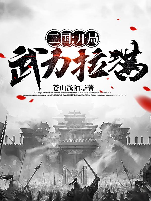 三国开局武力第一谋士